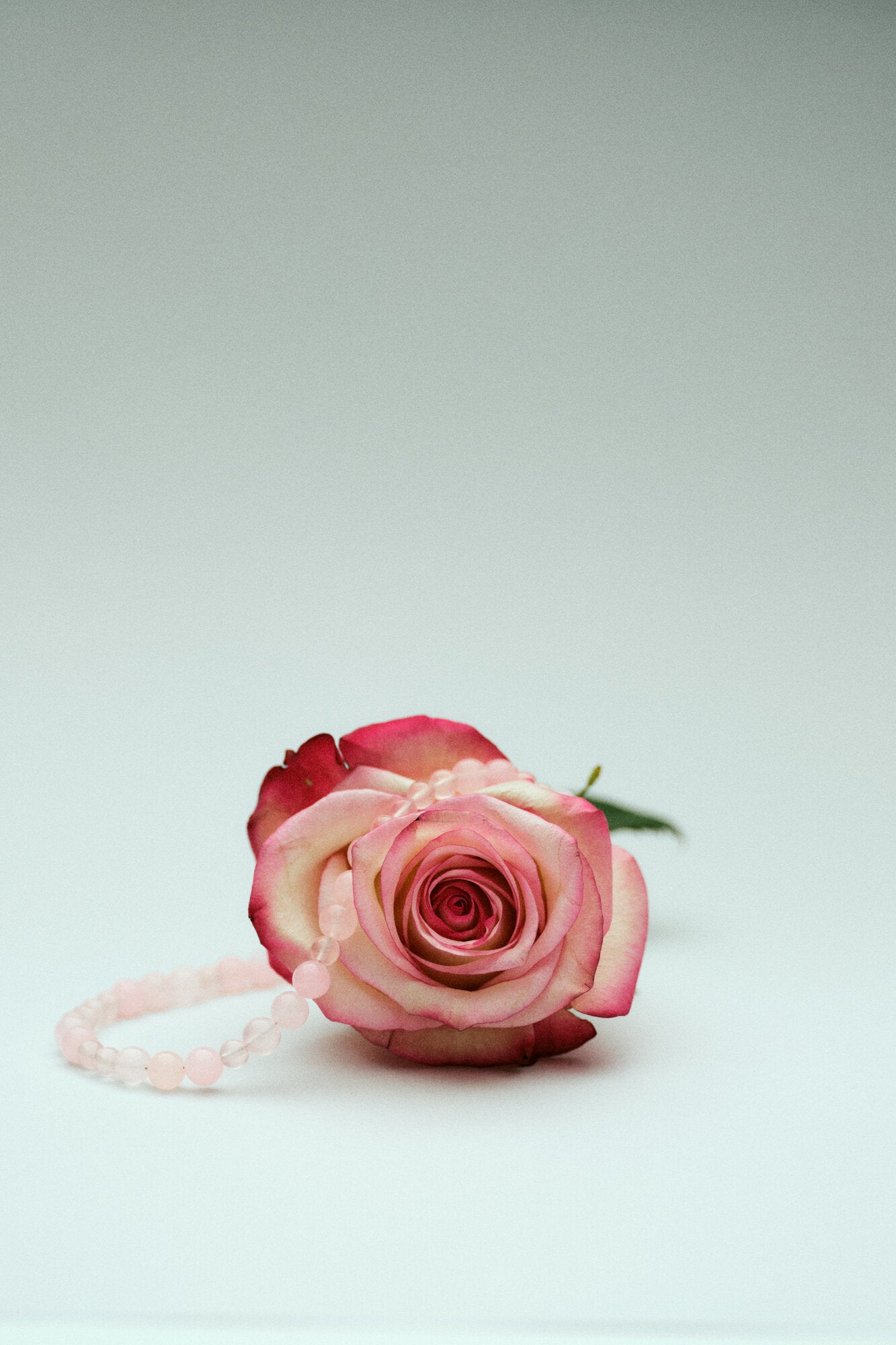 Blush halskæde - forgyldt